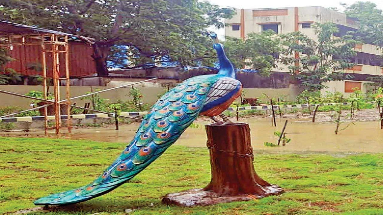 અંકલેશ્વરમાં 5000 ચોરસ મીટરમાં 20 પ્રજાતિના 1000 વૃક્ષોનો ઉછેર, પક્ષીઓ માટે બન્યો બર્ડ પાર્ક