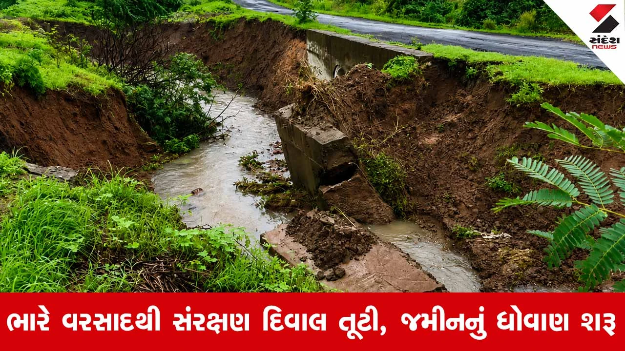 Vadodaraના શિનોરમાં ભારે વરસાદથી સંરક્ષણ દિવાલ થઈ ધરાશાયી: પુનિયાદ-આનંદી માર્ગ બંધ થવાની ભીતિ