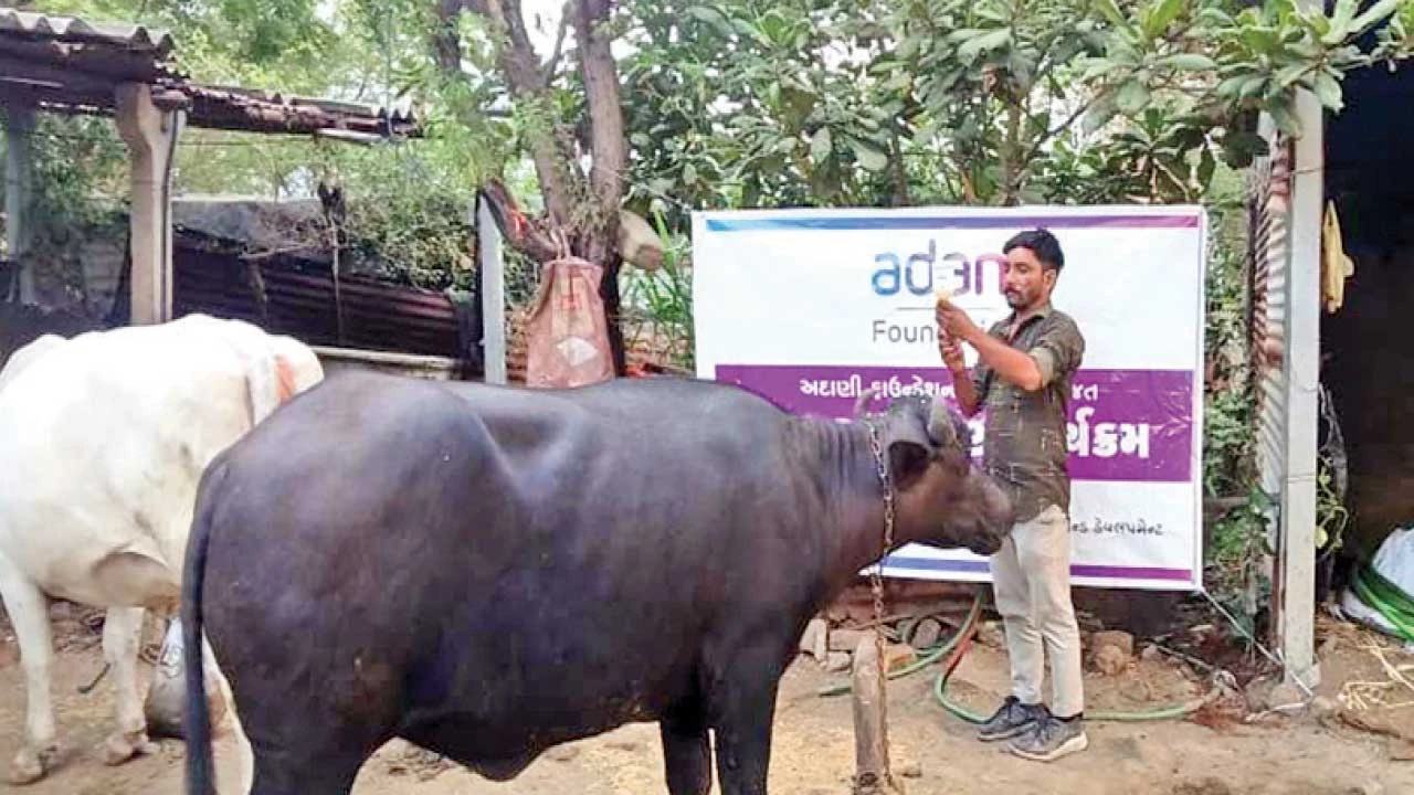 ભરૂચ: વાગરા તાલુકાના 30 ગામોમાં 4915 પશુઓનું HS રસીકરણ