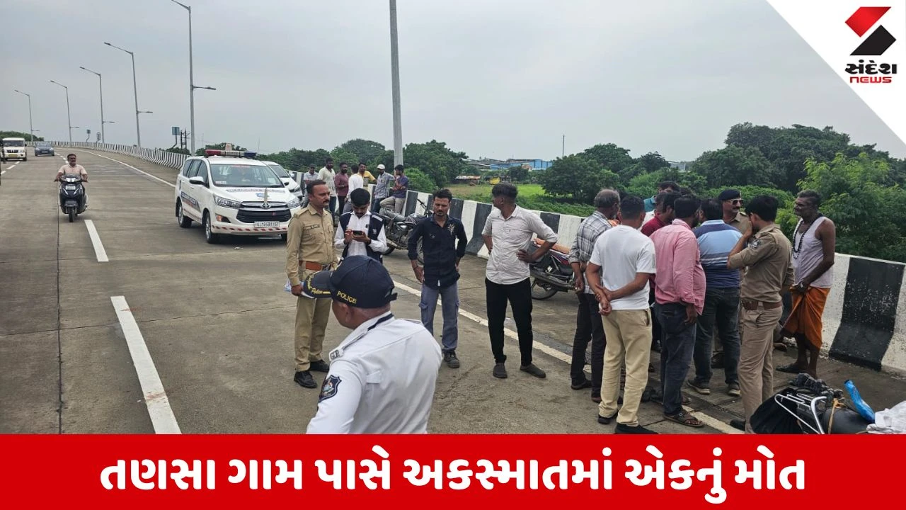 Bhavnagar News: તણસા ગામ પાસે માર્ગ અકસ્માત, ટ્રેલરે બાઇકચાલક યુવકને અડફેટે લેતા મોત