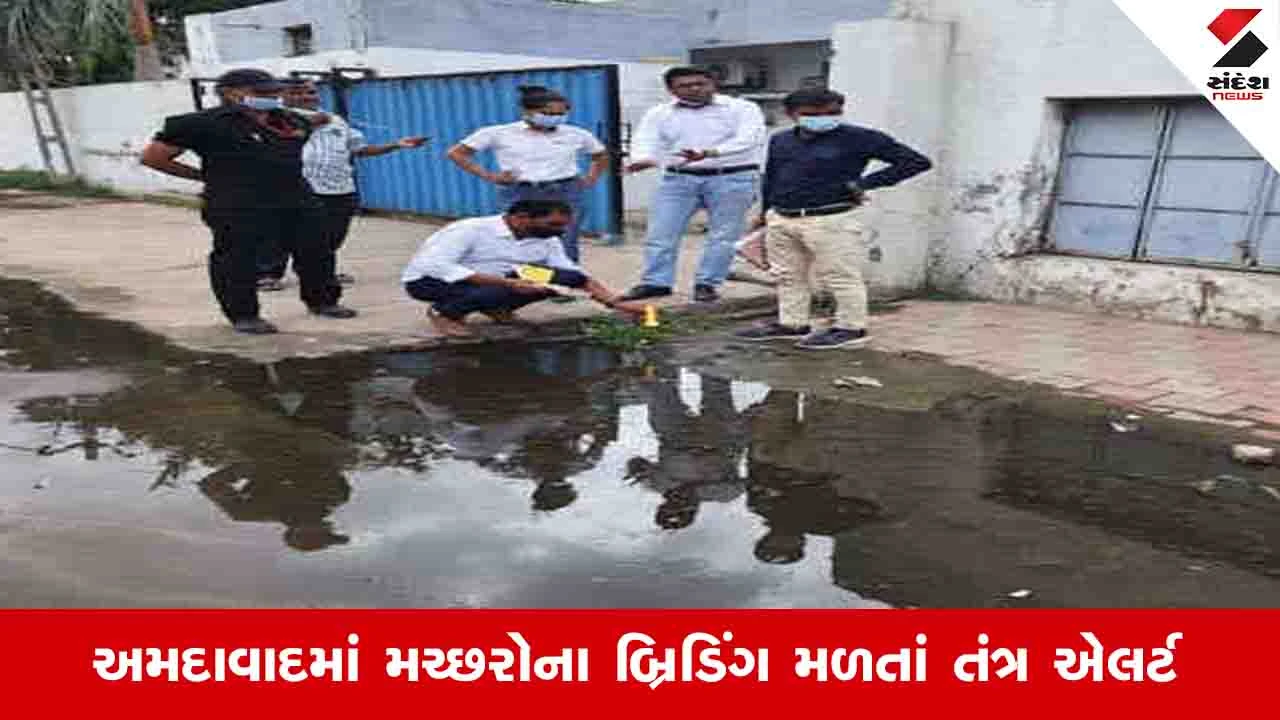 Ahmedabad News: શહેરમાં 33 હજારથી વધુ મકાનોમાં મચ્છરોનું બ્રિડિંગ મળ્યું, પાણીના 47 સેમ્પલ અનફિટ