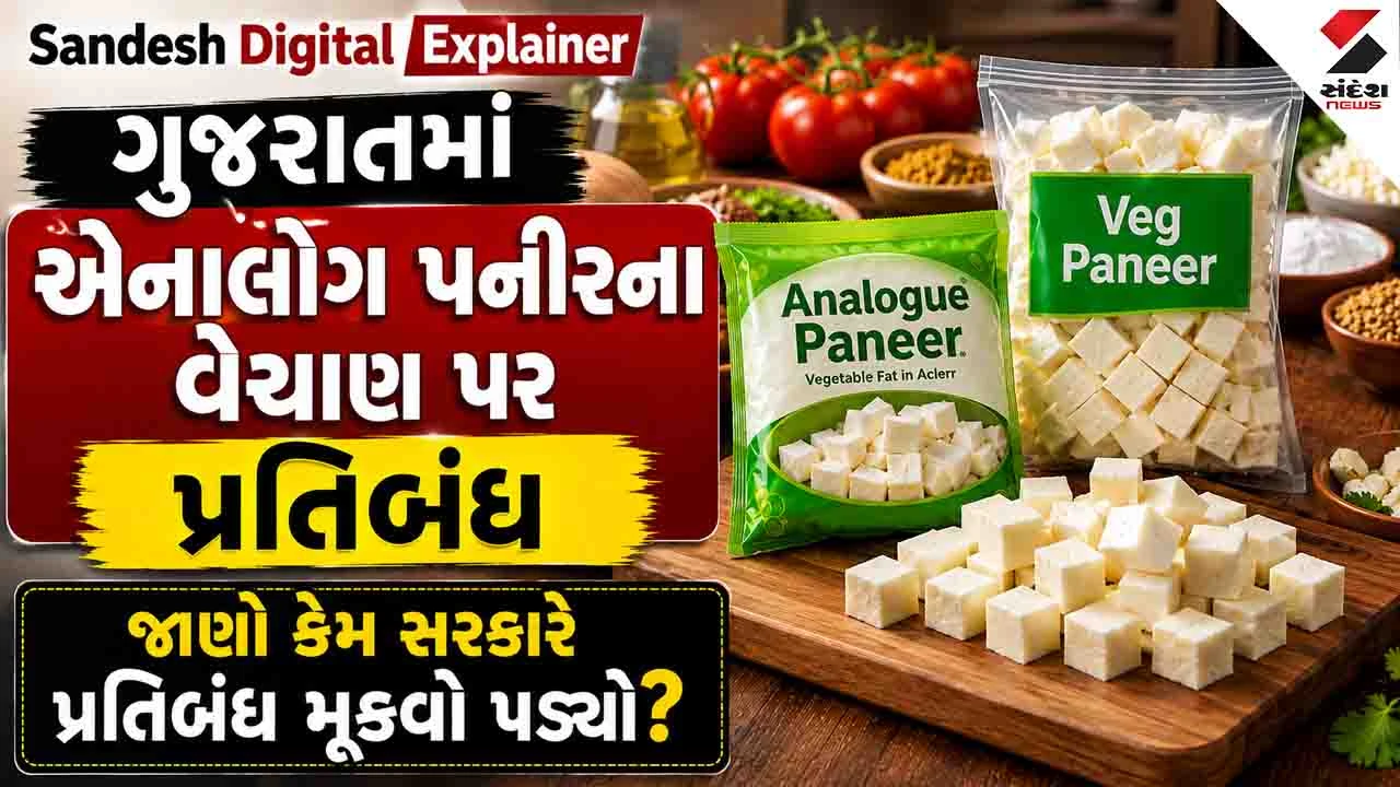 Sandesh Digital Explainer: અત્યાર સુધી એનાલોગ પનીરનું ધૂમ વેચાણ ચાલ્યું, હવે કેમ અચાનક સરકારે પ્રતિબંધનો નિર્ણય લીધો?