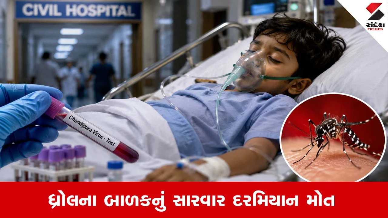 Rajkotમાં ચાંદીપુરાના શંકાસ્પદ લક્ષણો ધરાવતા 6 વર્ષીય બાળકનું મોત, રિપોર્ટ પહેલાં જ તૂટી આશા