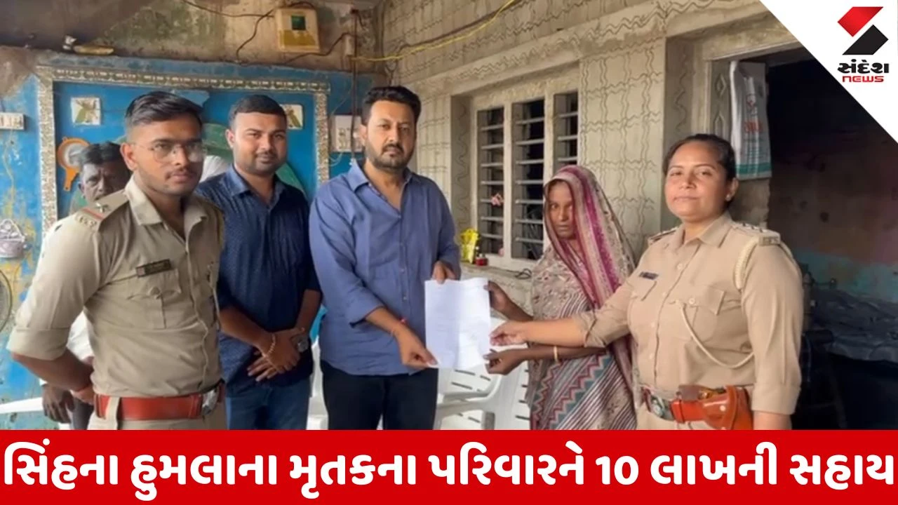 Amreli News: જાફરાબાદમાં સિંહના હુમલામાં જીવ ગુમાવનારના પરિવારને 10 લાખની સહાય