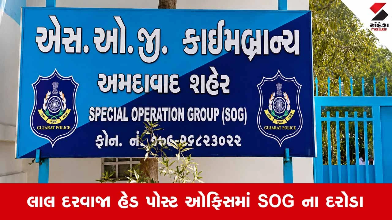 Ahmedabadના લાલ દરવાજા GPOમાંથી ઝડપાયું કફ સિરપનું સપ્લાય નેટવર્ક, SOGએ કુલ રૂ.59.41 લાખનો જથ્થો કર્યો જપ્ત