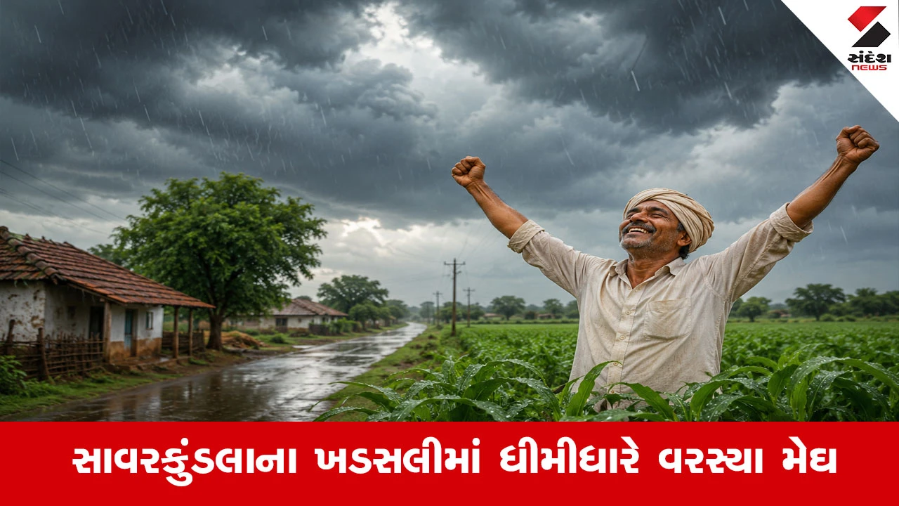 Amreliમાં લાંબા વિરામ બાદ મેઘરાજાની ફરી એન્ટ્રી, ખેડૂતોમાં ખુશીનો માહોલ