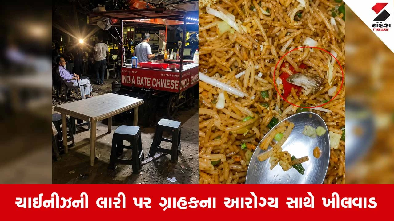 Vadodaraના છાણીમાં ચાઈનીઝના શોખીનો માટે ચોંકાવનારો કિસ્સો: મંચુરિયન રાઈસમાંથી મૃત ગરોળી મળતાં હંગામો