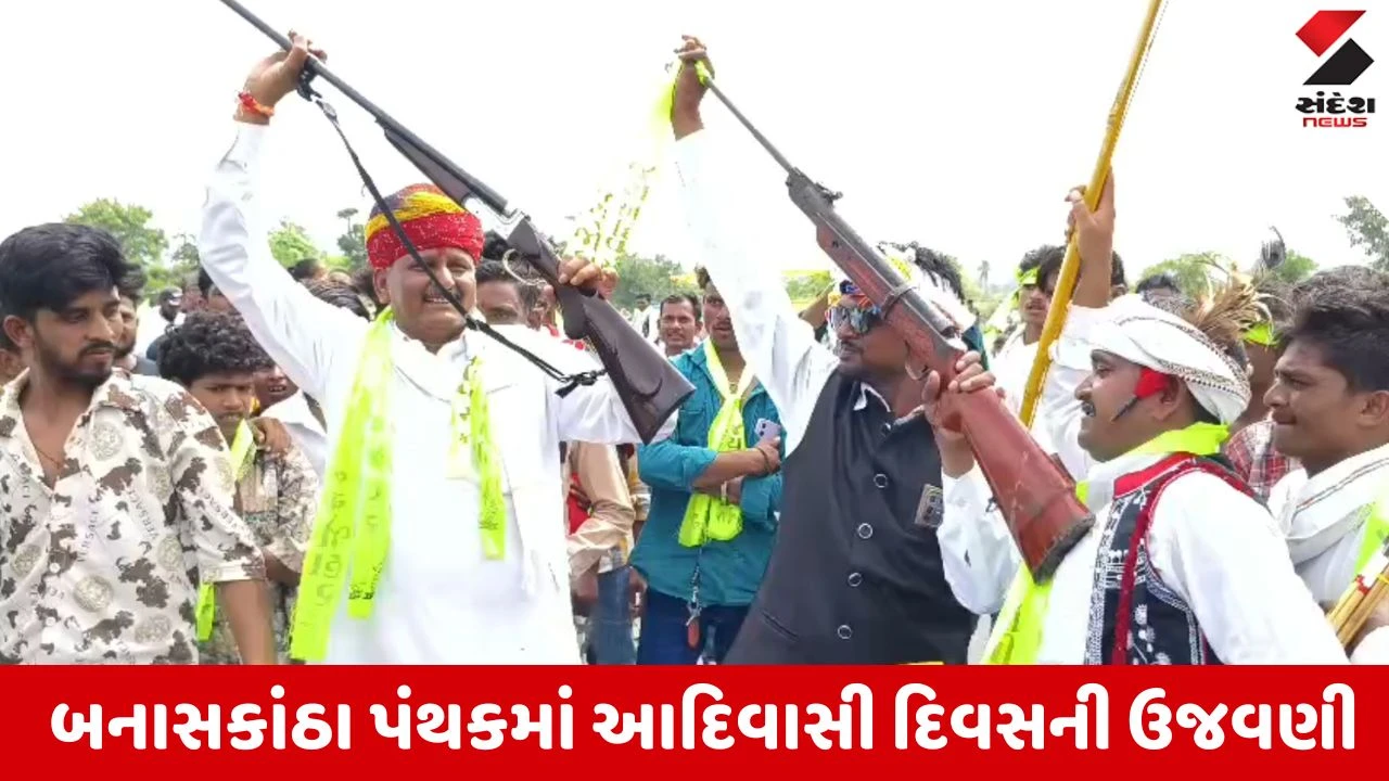 Banaskantha News: દાંતા અને હડાદમાં 'વિશ્વ આદિવાસી દિવસ'ની ભવ્ય ઉજવણી