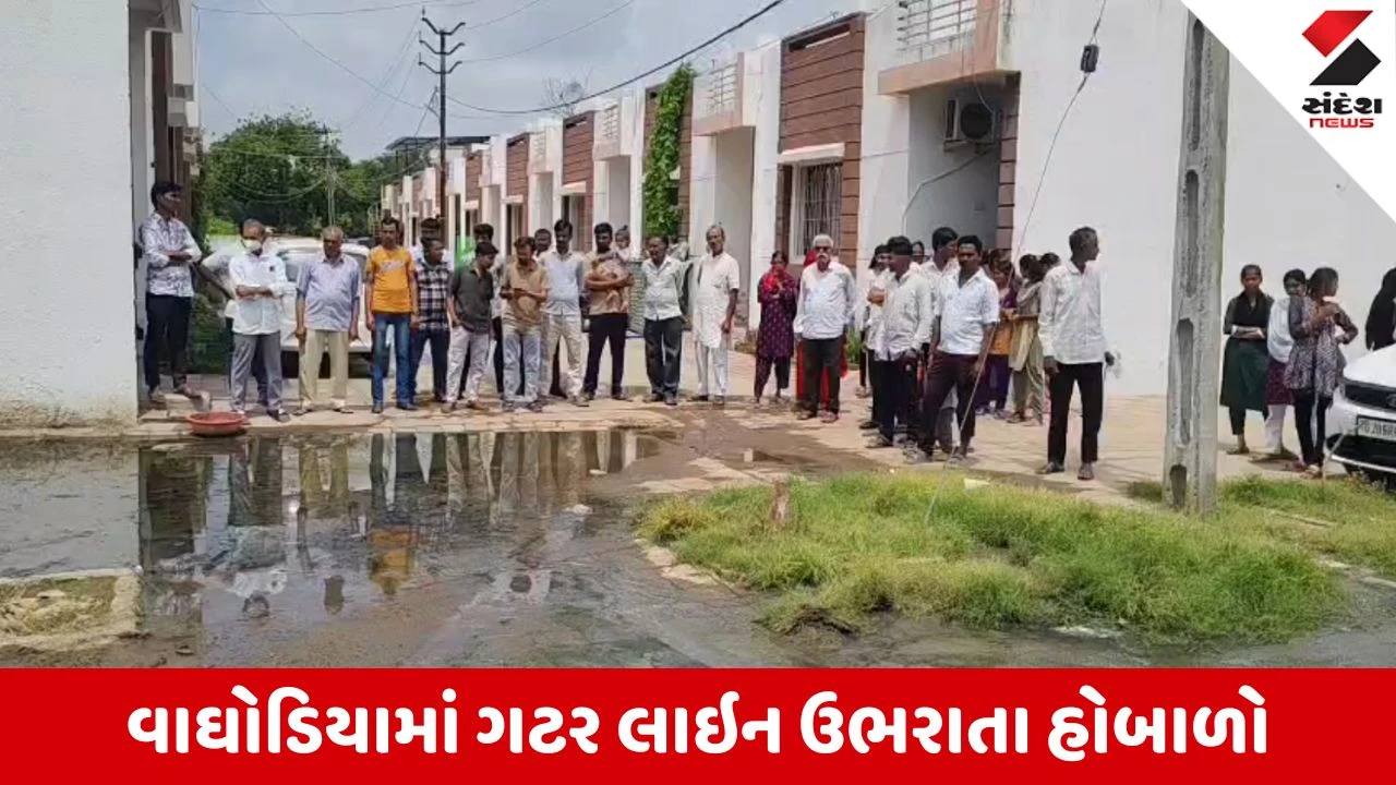 Vadodara News: વાઘોડિયાની કલપચંદ્ર સોસાયટીમાં ગટરના પાણી ફરી વળતા રહીશોનો ભારે વિરોધ