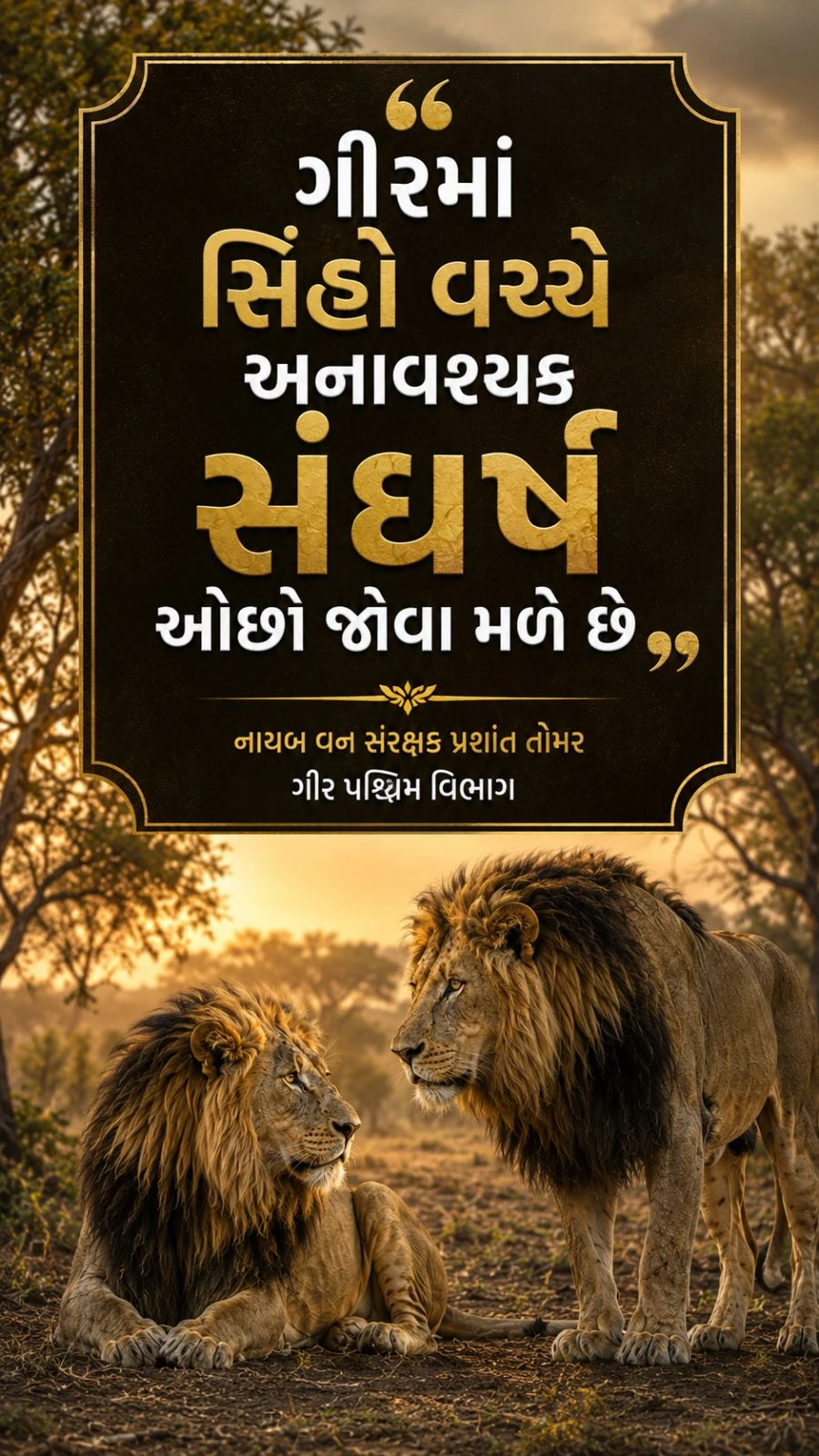 Gir Lion Population Rises to 891: Journey from 12 to Success