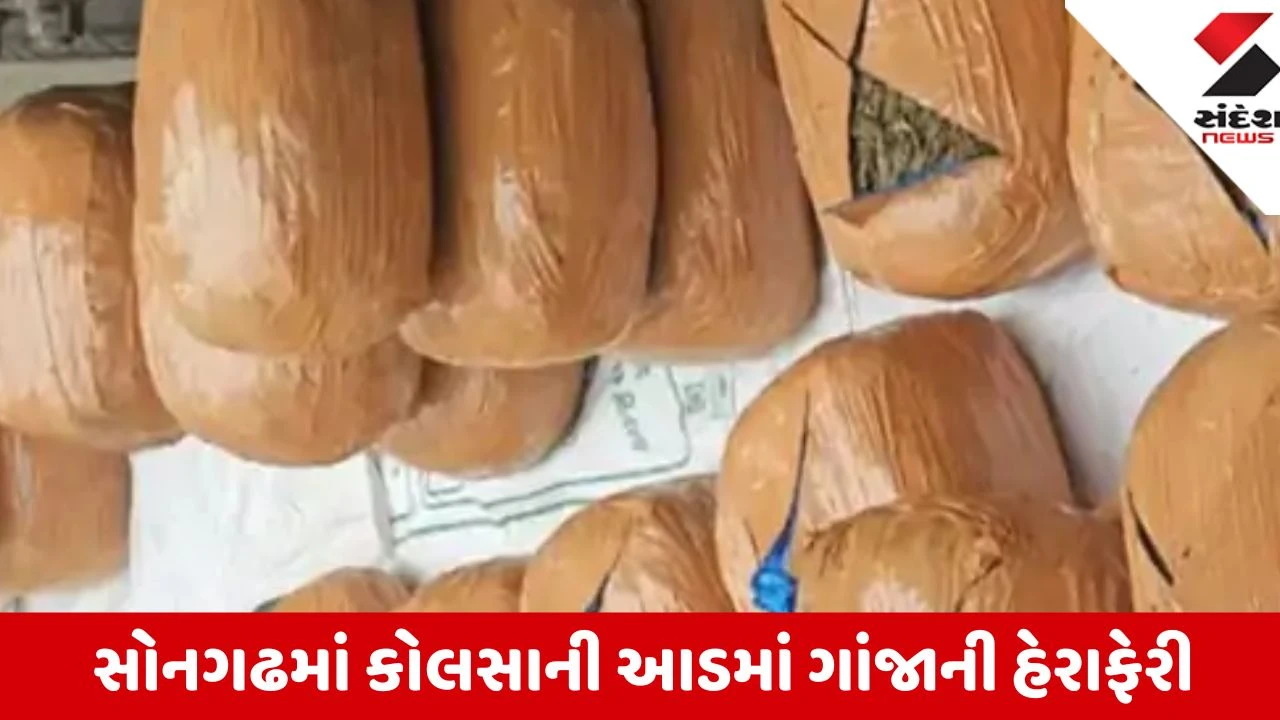 Tapi: સોનગઢમાં ઓરિસ્સાથી લવાતો 42 લાખનો 85 કિલો ગાંજો ઝડપાયો, 3 આરોપીઓની અટકાયત