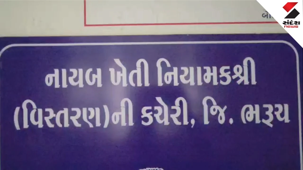 Bharuch News: Long Queues for Fertilizer in Jambusar; Deputy Director of Agriculture Issues Clarification
