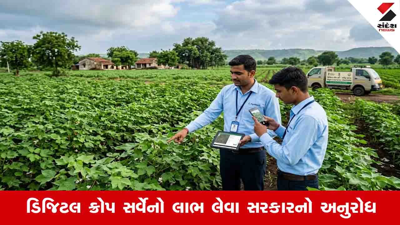 Agriculture News: આગામી 15 ઓગસ્ટથી સમગ્ર ગુજરાતમાં થશે ડિજિટલ ક્રોપ સર્વેનો રાજ્યવ્યાપી પ્રારંભ