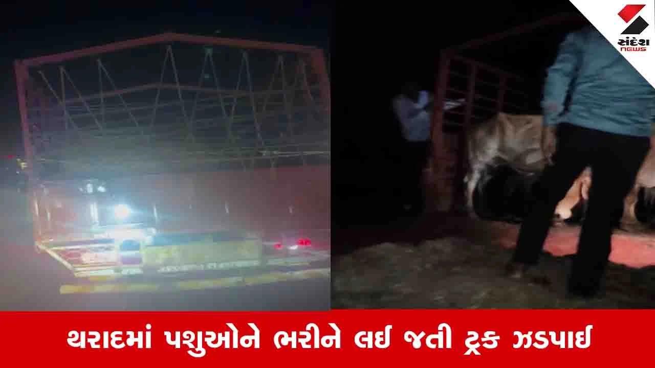 Banaskantha News: ગૌરક્ષકોએ પશુઓથી ભરેલી આઇસર ટ્રક ઝડપી, 23 પશુઓને ક્રૂરતાપૂર્વક લઈ જવાતા હતા