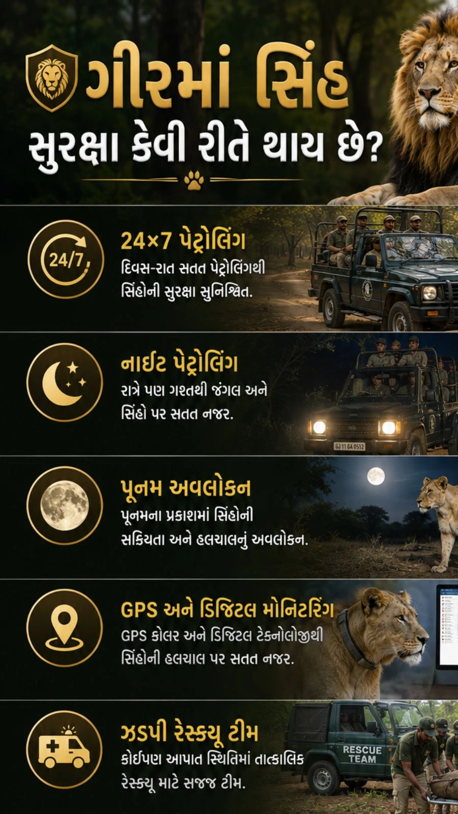 Gir Lion Population Rises to 891: Journey from 12 to Success