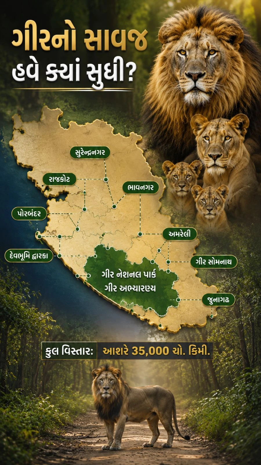 Gir Lion Population Rises to 891: Journey from 12 to Success