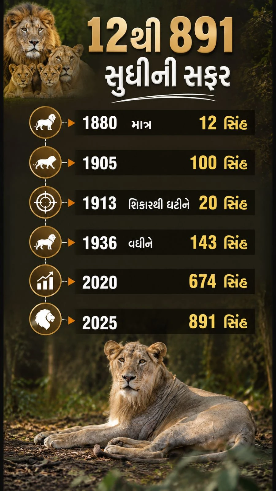 Gir Lion Population Rises to 891: Journey from 12 to Success
