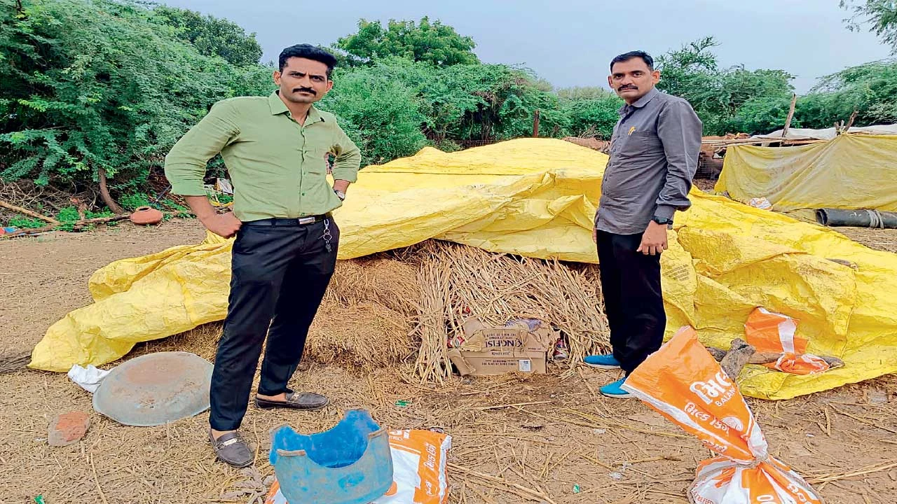 સુરેન્દ્રનગરમાં મુંજપર ગામના વાડામાંથી ઘાસચારા નીચે છુપાવેલો દારૂ-બિયર ઝડપાયો