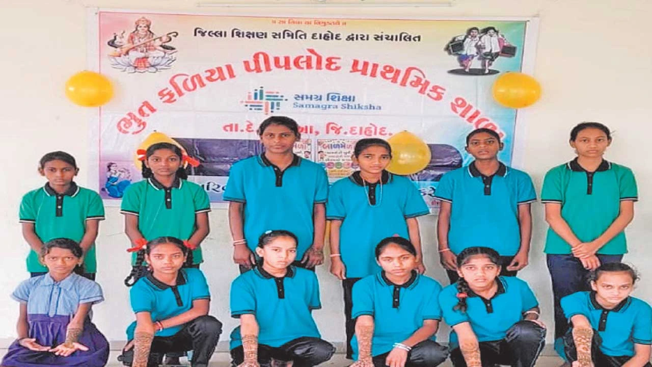 દાહોદના દેવગઢબારીઆમાં પીપલોદ શાળામાં લાઈફ્ સ્કીલ બાળ મેળો