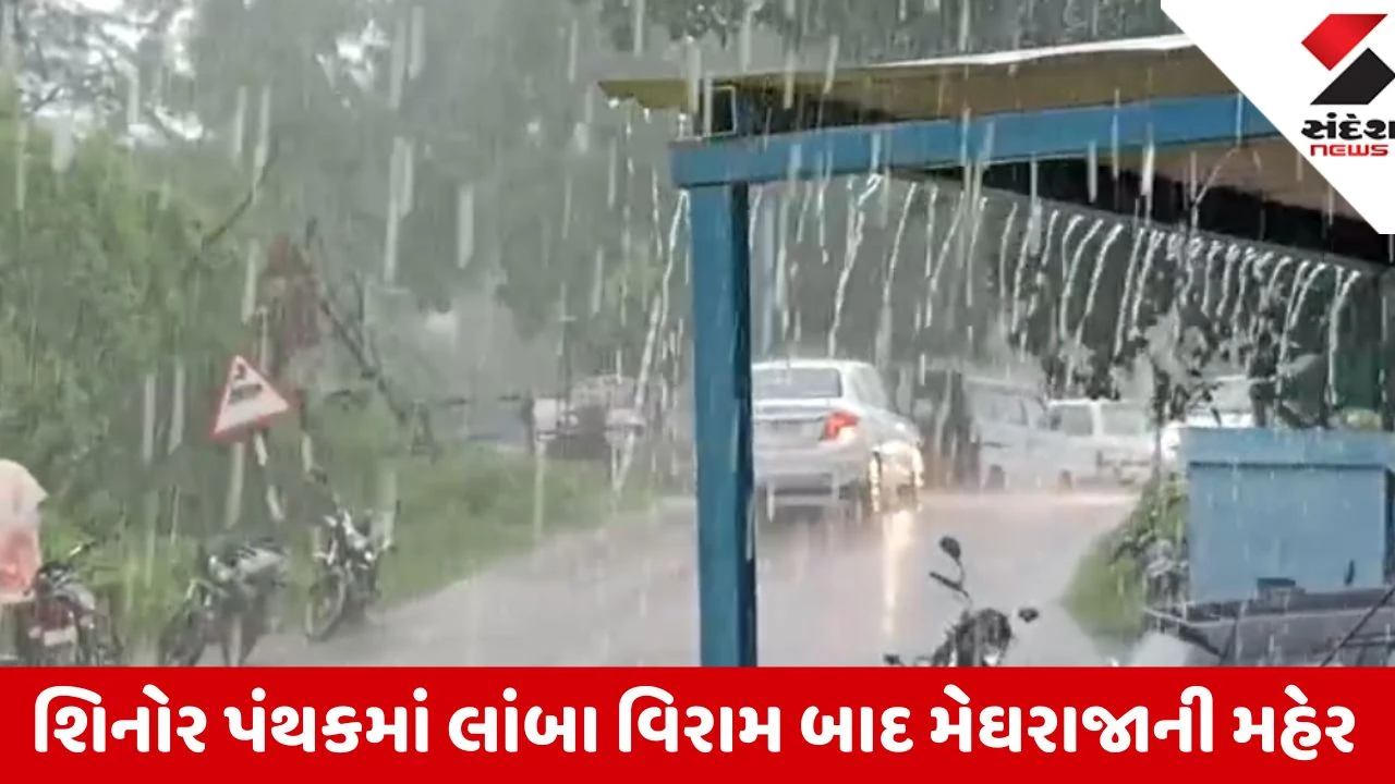 Vadodara: શિનોર પંથકમાં લાંબા વિરામ બાદ મેઘરાજાની મહેર; સાધલી, ઉતરાજ અને અવાખલમાં વરસ્યો વરસાદ