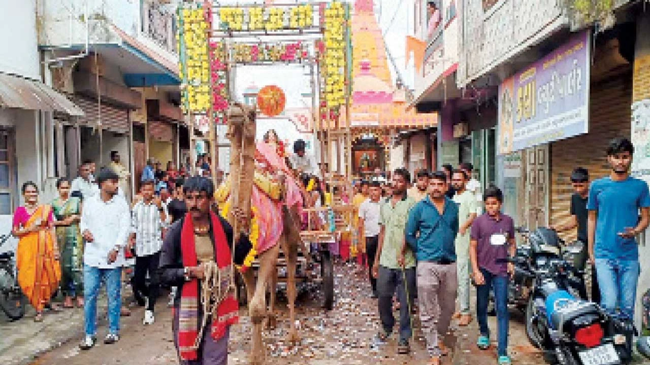 વડોદરાના શિનોરમાં દશામાની ભવ્ય આગમન શોભાયાત્રા
