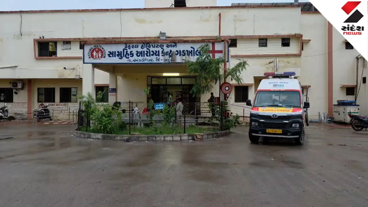 Bharuch News: Woman Murdered in Ankleshwar Anand Vihar Society, Bharuch Police Begins Investigation