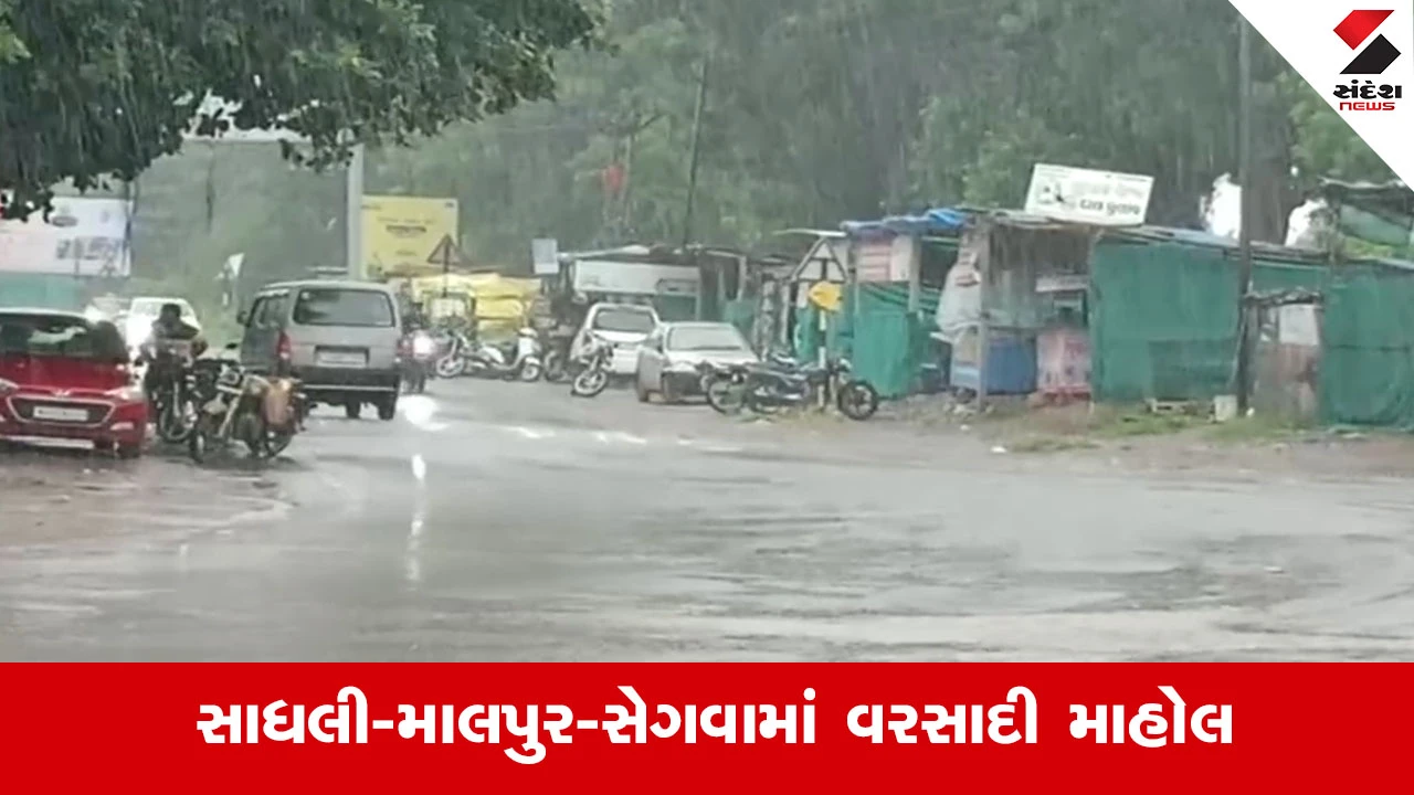 Vadodara News : શિનોર પંથકમાં સતત ત્રીજા દિવસે મેઘમહેર, ખેડૂતોમાં ખુશી