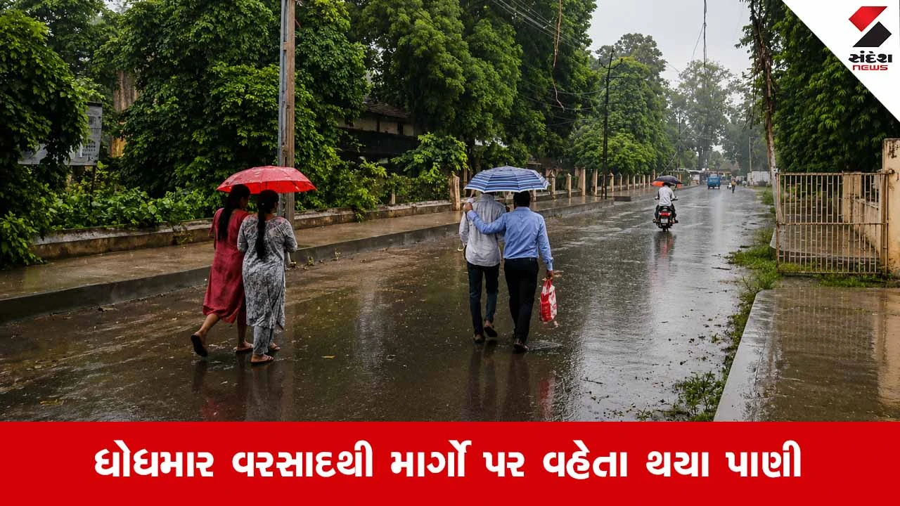 Anandના ઉમરેઠમાં મેઘરાજાની પધરામણી: અસહ્ય બફારા અને ગરમી વચ્ચે ધોધમાર વરસાદી ઝાપટું