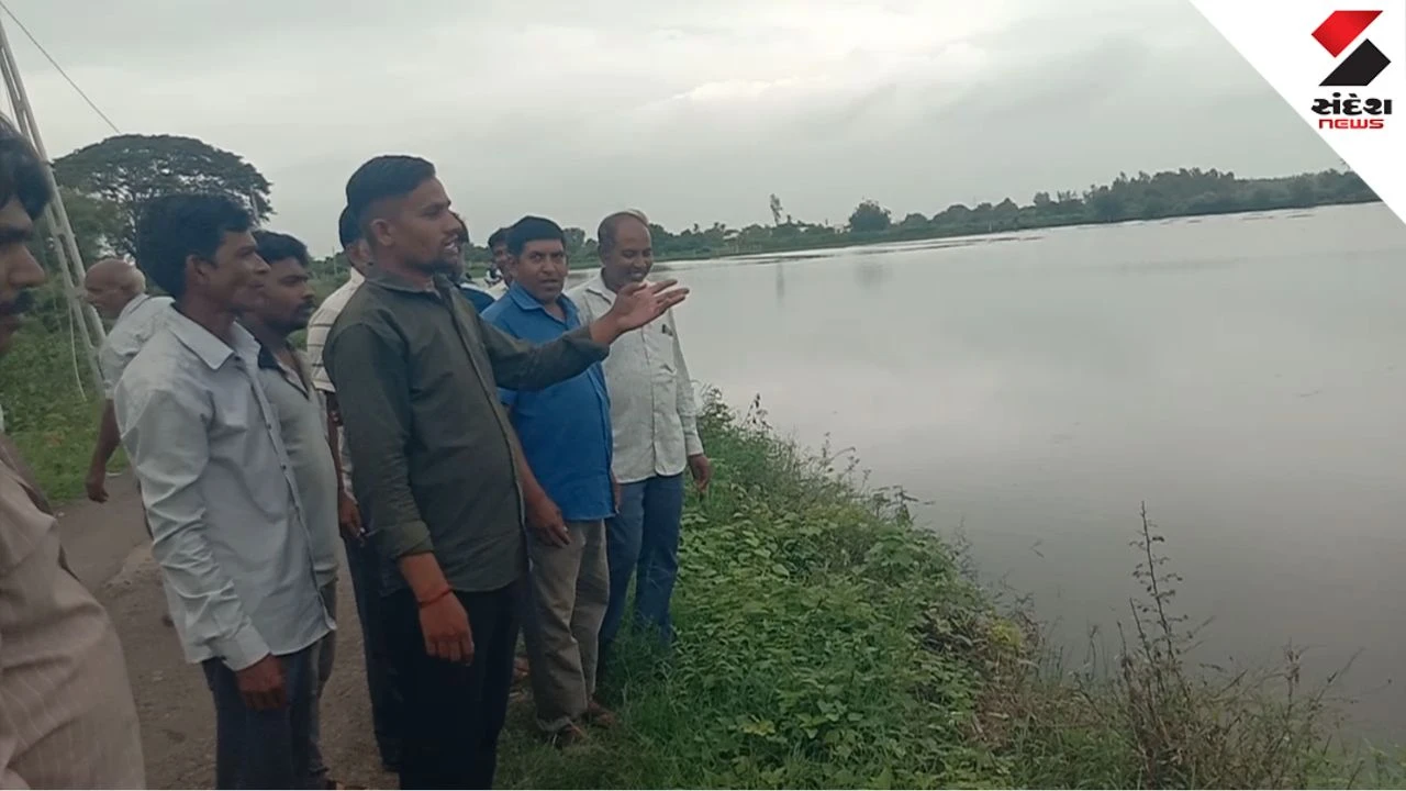 Anand News: Petlad Lakkadpura Waterlogging: 200 Bigha Crops Submerged for 15 Days