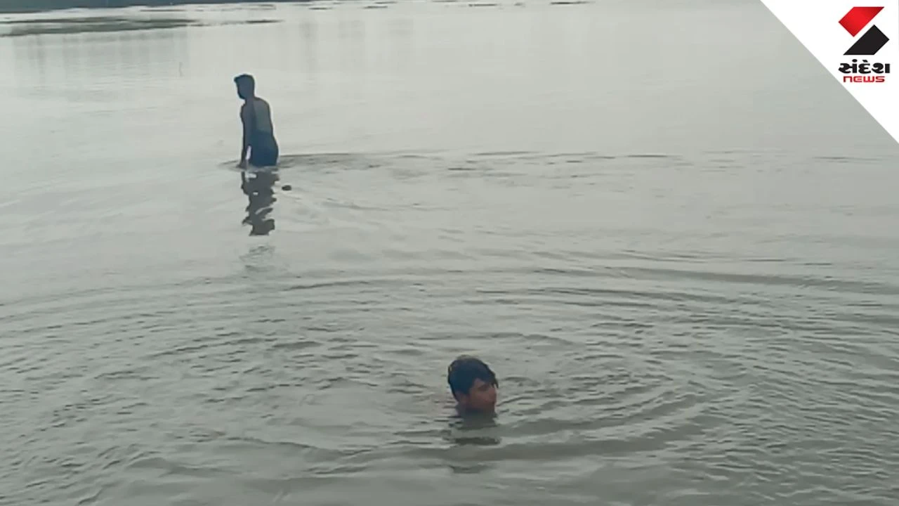 Anand News: Petlad Lakkadpura Waterlogging: 200 Bigha Crops Submerged for 15 Days