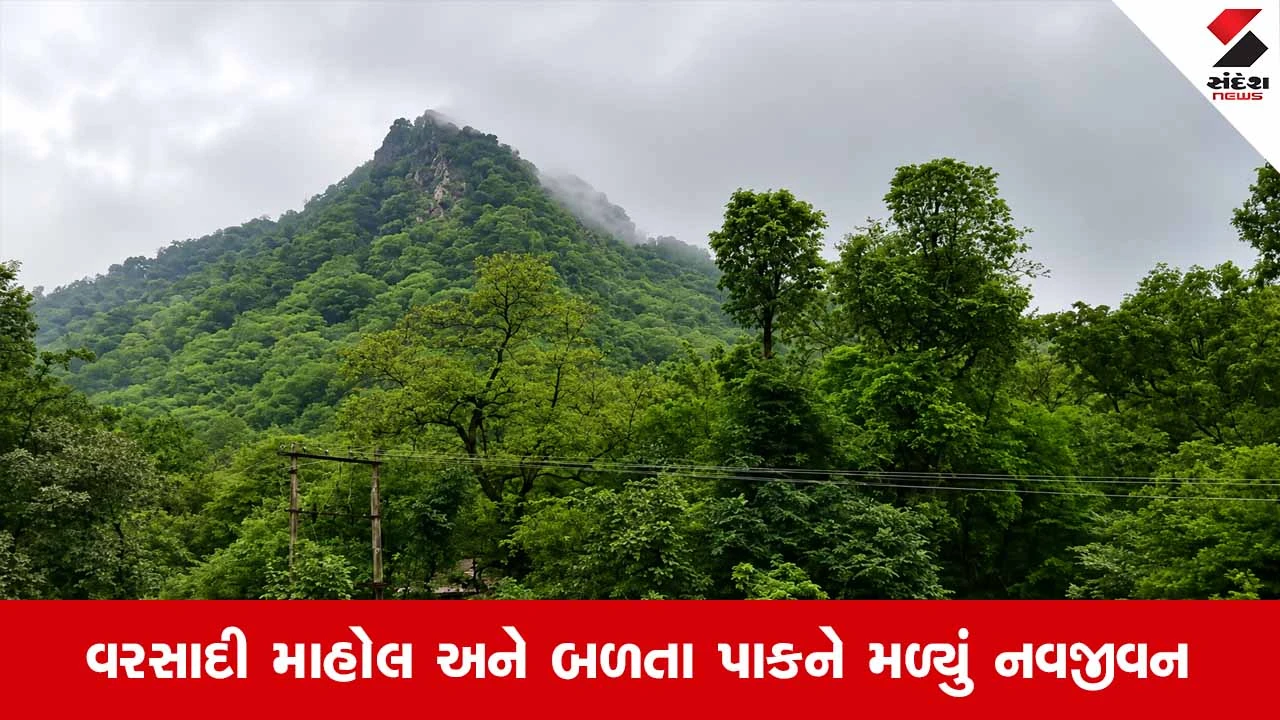 Sabarkanthaના ખેડબ્રહ્મામાં મેઘરાજાની ધમાકેદાર પધરામણી: પાકને નવજીવન મળતાં ખેડૂતોમાં આનંદ