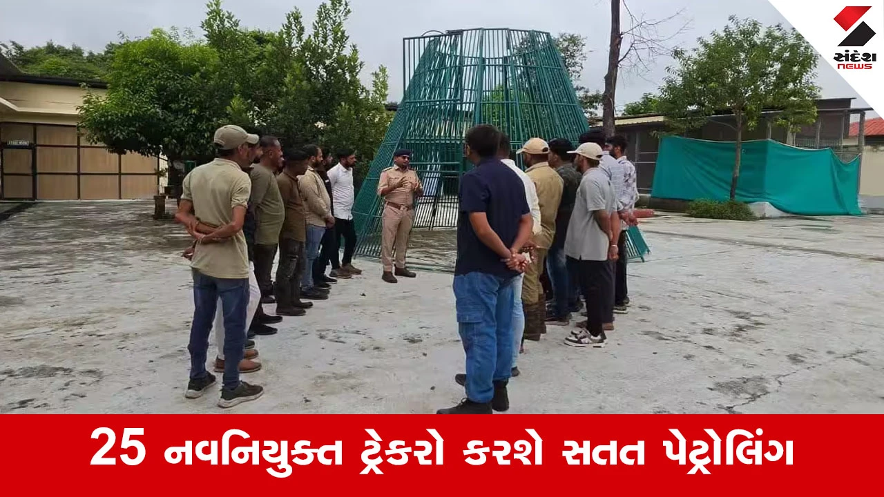 Junagadh News : ગિરનાર પર માનવ-સિંહ સંઘર્ષ રોકવા 25 ટ્રેકર તૈનાત! નવી-જૂની સીડી સહિત દાતાર પર પેટ્રોલિંગ કરશે...
