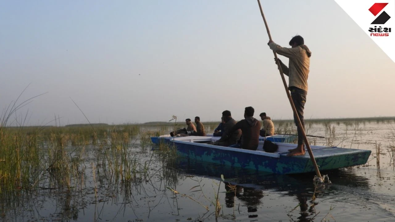 Ahmedabad News: Boating to Resume at Nalsarovar Bird Sanctuary by Diwali After 2 Years