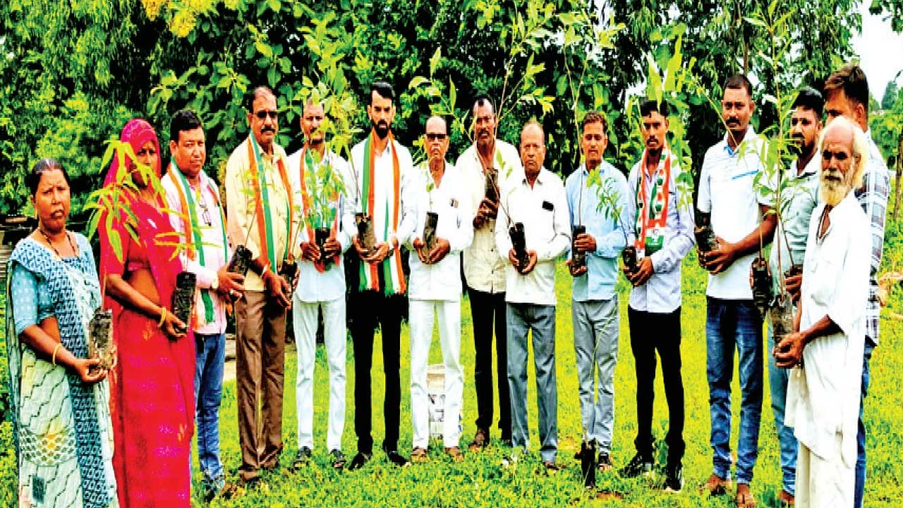 Chhotaudepur: નસવાડીમાં રાજીવ ગાંધીજીની જન્મજયંતી નિમિત્તે વૃક્ષારોપણ