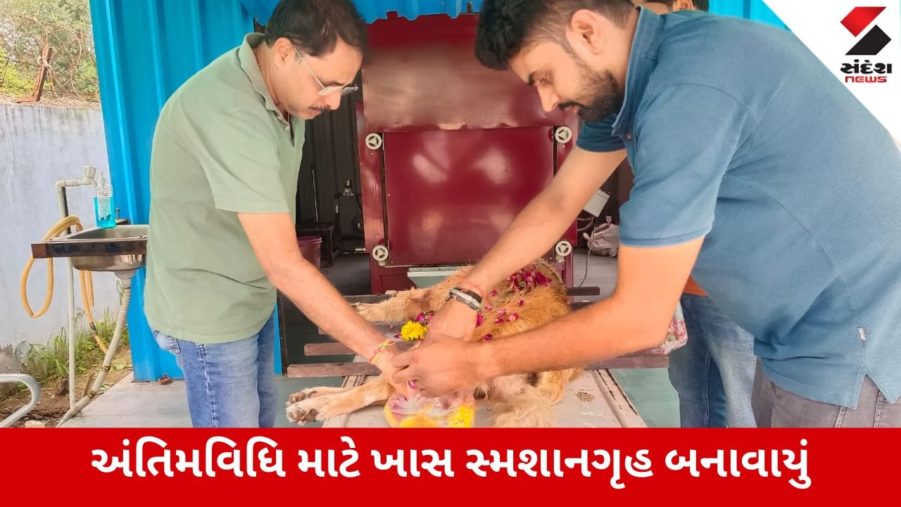 Ahmedabadમાં પેટ ઓનર્સ માટે AMCની નવી પહેલ, અંતિમવિધિ બાદ મળશે સર્ટિફિકેટ