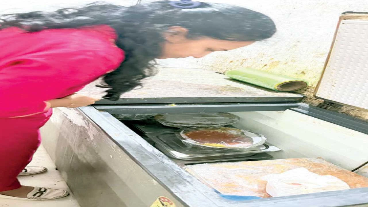 નવસારી: સ્વચ્છતા ન જાળવતી 10 હોટલો સીલ, 31 કિલો અખાદ્ય જથ્થાનો નાશ