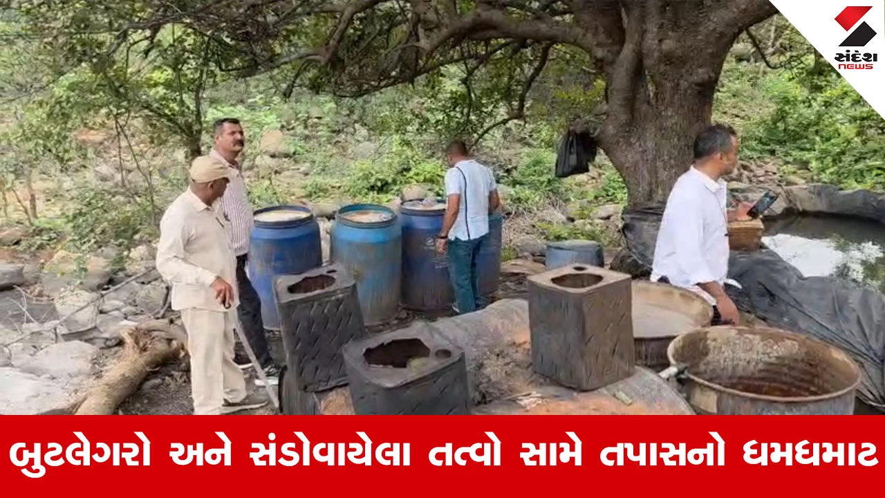 Bhavnagar દારૂકાંડ બાદ પોરબંદર પોલીસ એક્શનમાં, બરડા ડુંગરમાં દેશી દારૂની ભઠ્ઠી ઝડપાઈ