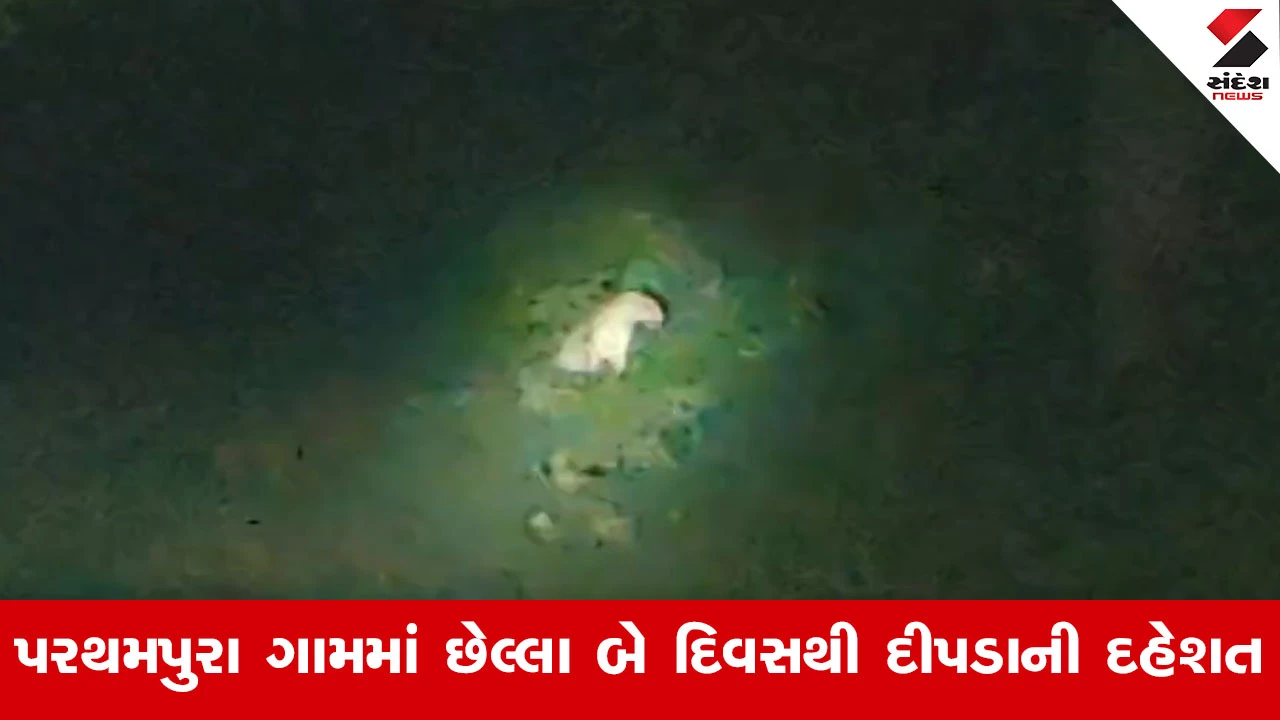 Vadodara News : સાવલીમાં દીપડાનો આતંક! પરથમપુરા ગામમાં હુમલા બાદ ગ્રામજનોમાં ફફડાટ, VIDEO વાયરલ