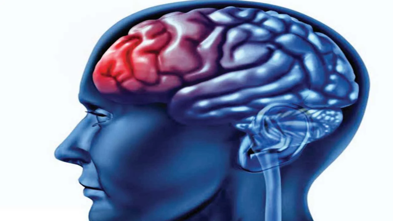 સુપર કમ્પ્યૂટરથી પણ શક્તિશાળી માનવ મગજ
