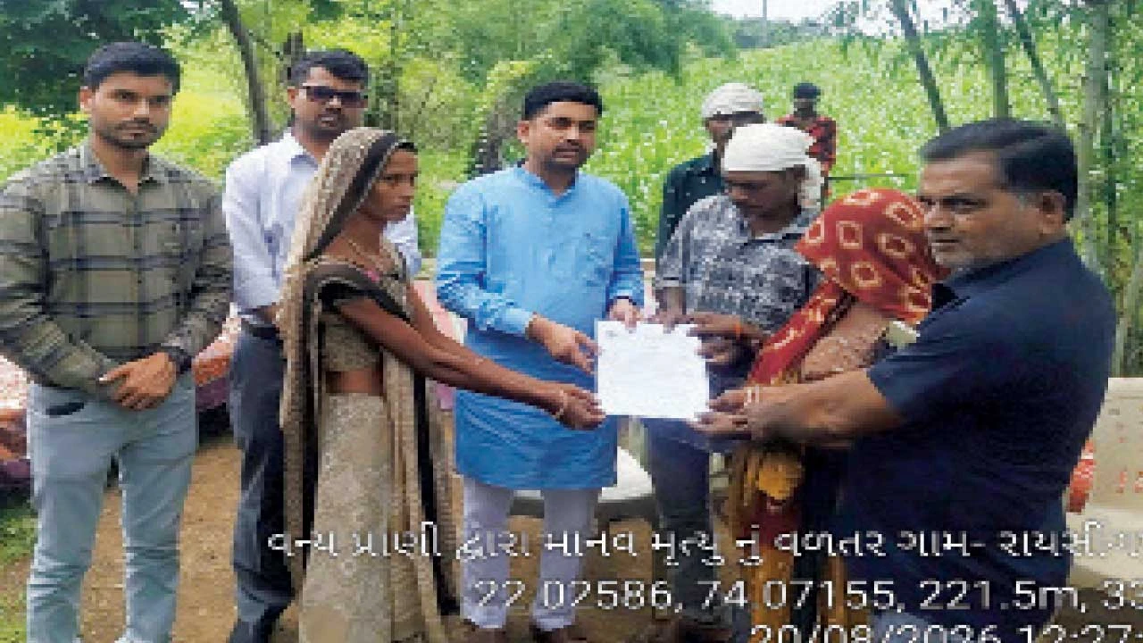 Chhotaudepur: ક્વાંટ તાલુકામાં દીપડાના હુમલામાં મોતને ભેટેલ વૃદ્ધાના પરિવારને રૂા.10લાખની સહાય