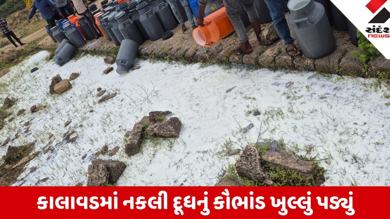 Jamnagar: કાલાવડમાં ભેળસેળયુક્ત નકલી દૂધ બનાવતી 6 ડેરીઓ ઝડપાઈ, 7150 લીટર દૂધ નાશ કરાયું