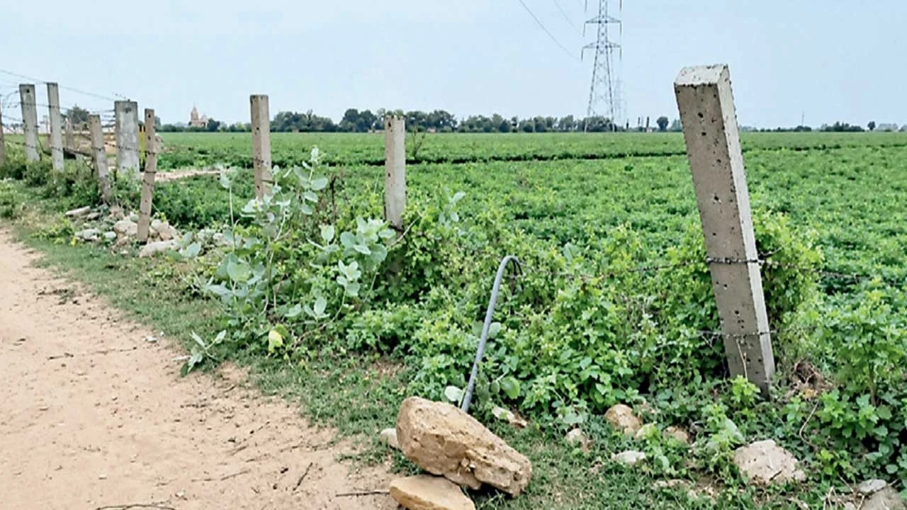 હળવદ: સરંભડા સીમમાં 220 KV જેટકો લાઈનનો તાર તૂટ્યો, 50 પાણીની મોટરો બળી