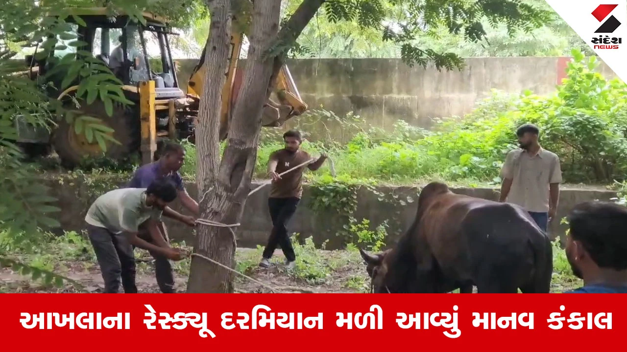 Bharuchમાં ગટર કાંસમાંથી માનવ કંકાલ મળતાં ચકચાર, આખલો કાઢવા જતા ભેદ ઉકેલાયો