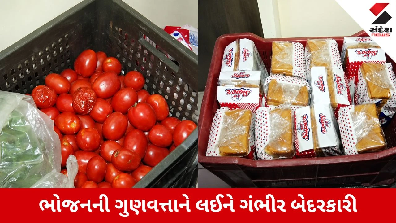 Ahmedabad : રેલવે મુસાફરોના ભોજનમાં ગંભીર બેદરકારી, 2 બેઝ કિચન બંધ, 15 લાખનો દંડ ફટકારાયો