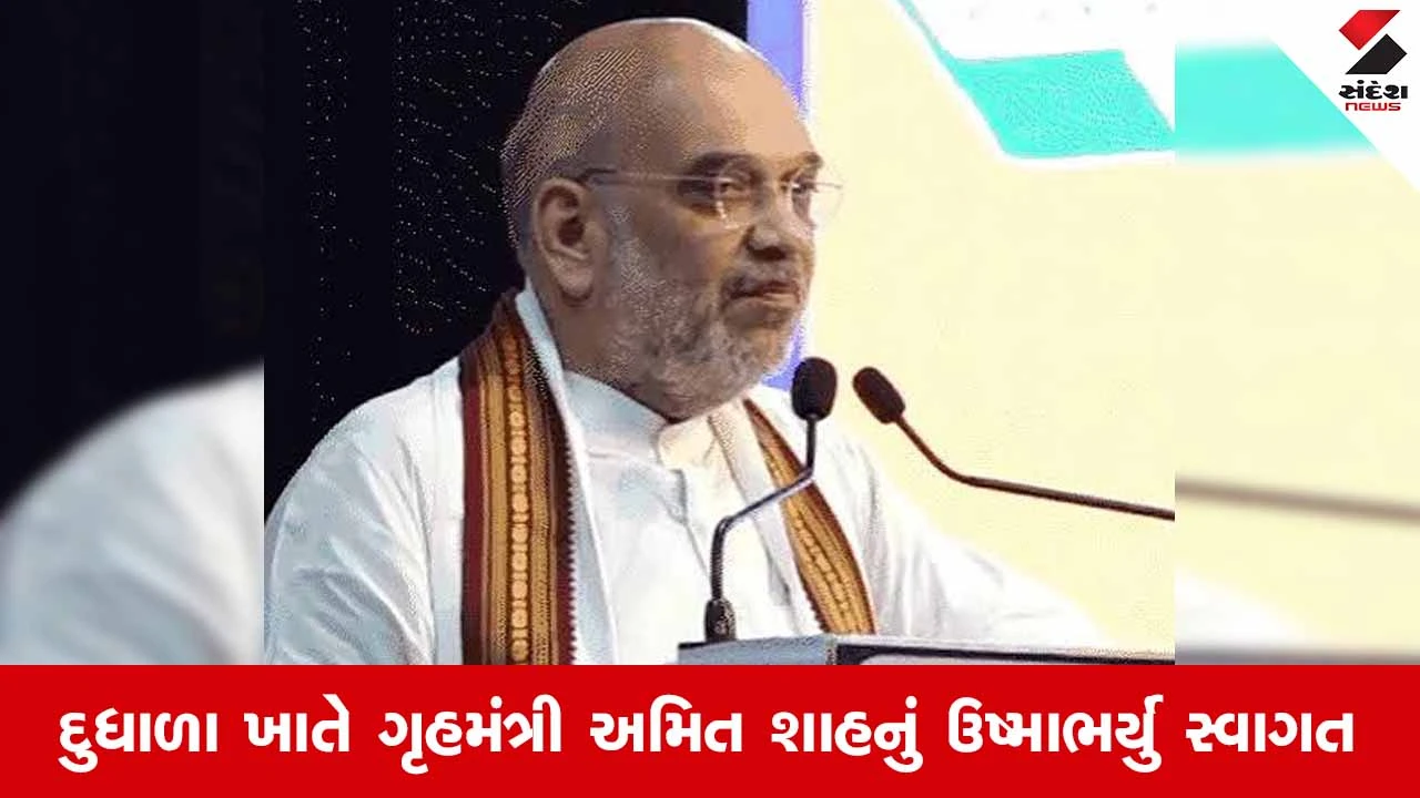 Amreli News: લાઠીના દુધાળામાં કેન્દ્રીય ગૃહમંત્રીનું આગમન, 'ગુજરાત ગૌરવ સરોવર'નું કર્યું લોકાર્પણ