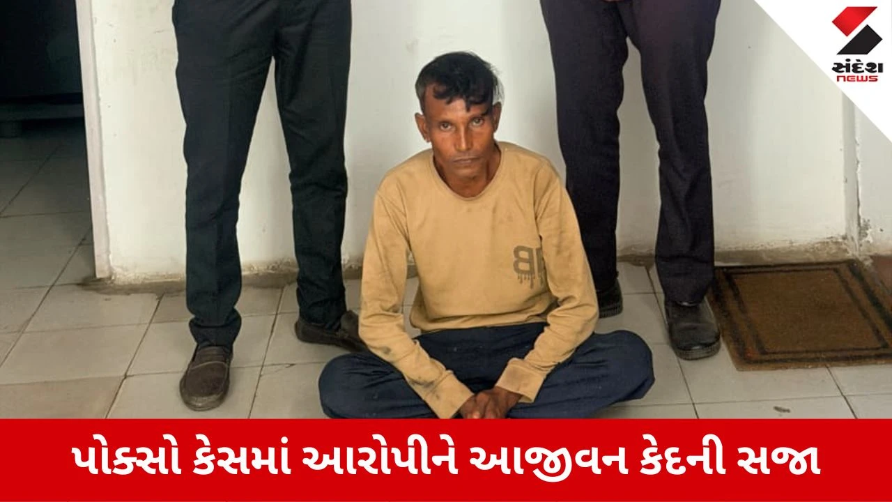 Gandhinagar News: કલોલ સેશન્સ કોર્ટનો ઐતિહાસિક ચુકાદો, ચાર્જશીટ બાદ માત્ર 72 કલાકમાં ટ્રાયલ ચલાવી પોક્સોના આરોપીને આજીવન કેદની સજા