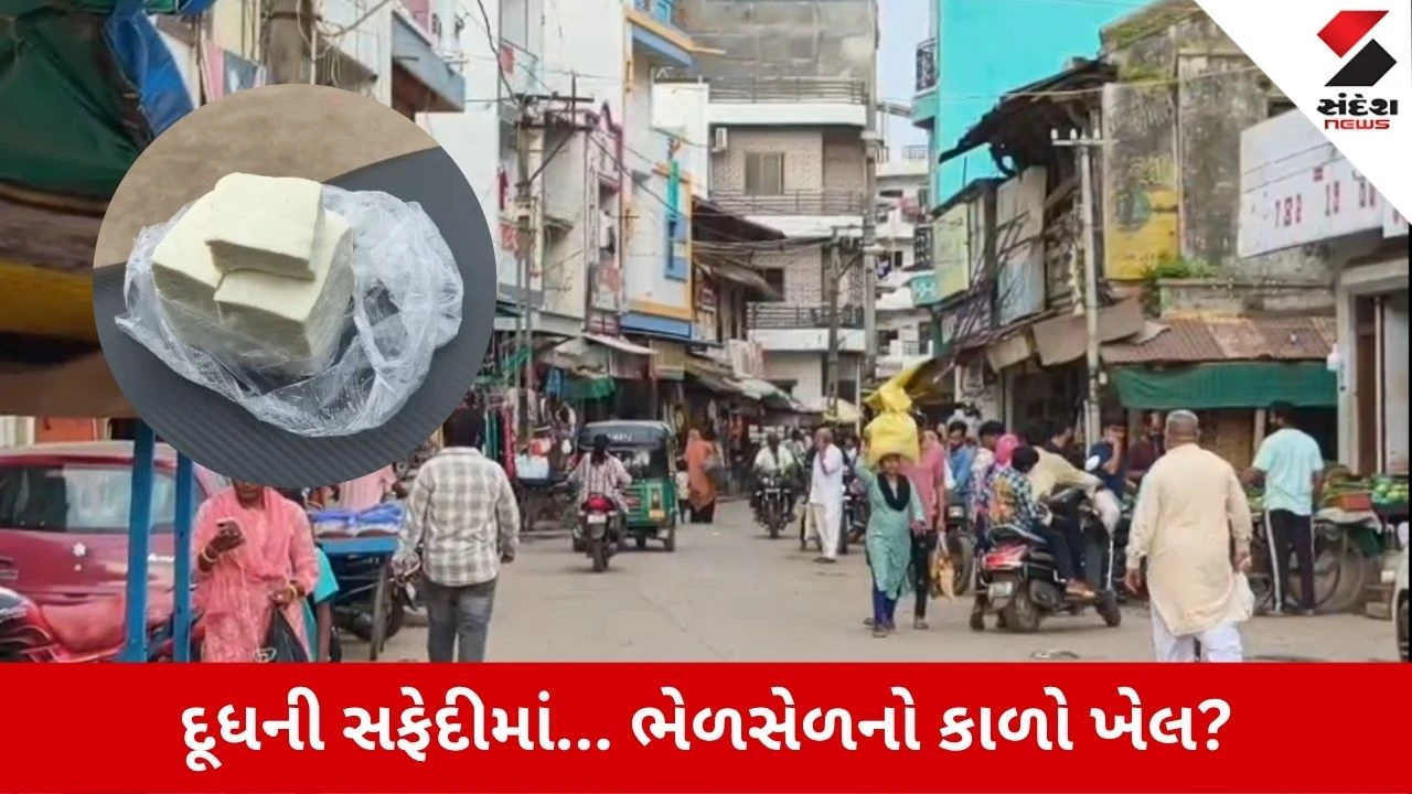 Vadodara News: શિનોરમાં ‘એનાલોગ પનીર’નો કાળો ખેલ, સંદેશ ન્યૂઝના સ્ટિંગ ઓપરેશનમાં થયો પર્દાફાશ