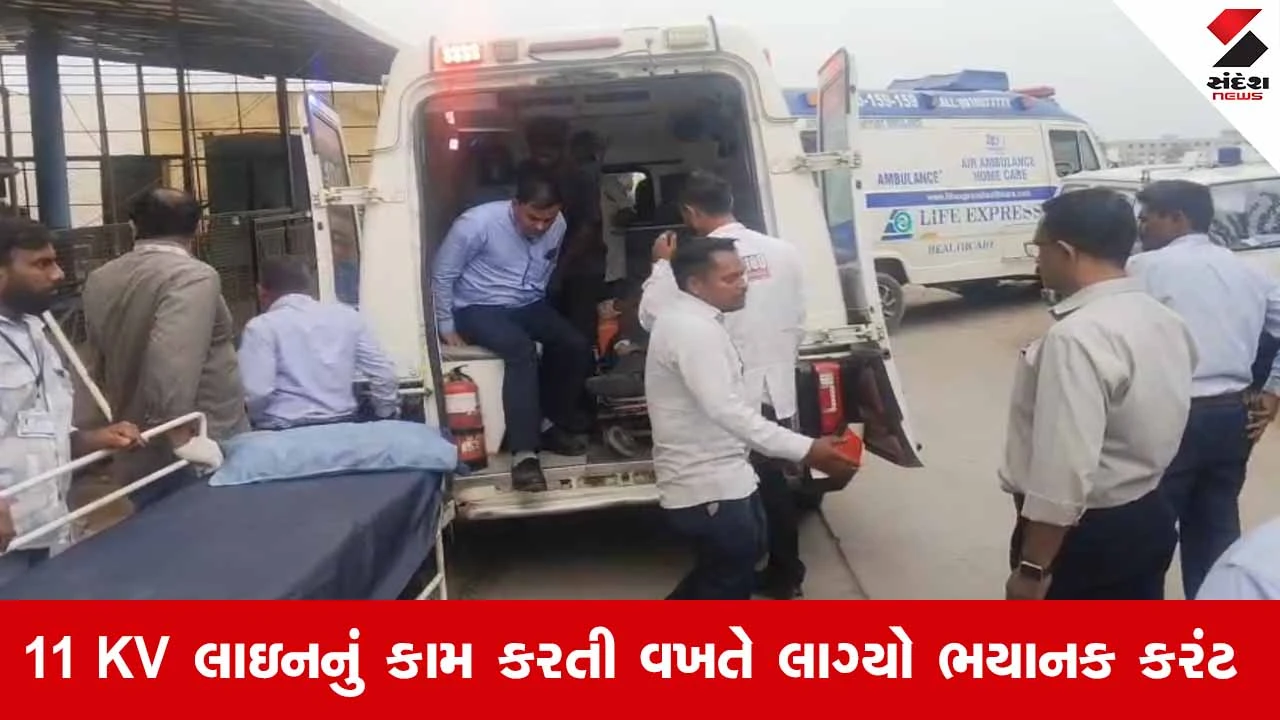 Aravalliમાં લાઇન રિપેરિંગ દરમિયાન વીજકર્મીને લાગ્યો હાઇવોલ્ટેજ કરંટ: એક જ અઠવાડિયામાં બીજો બનાવ