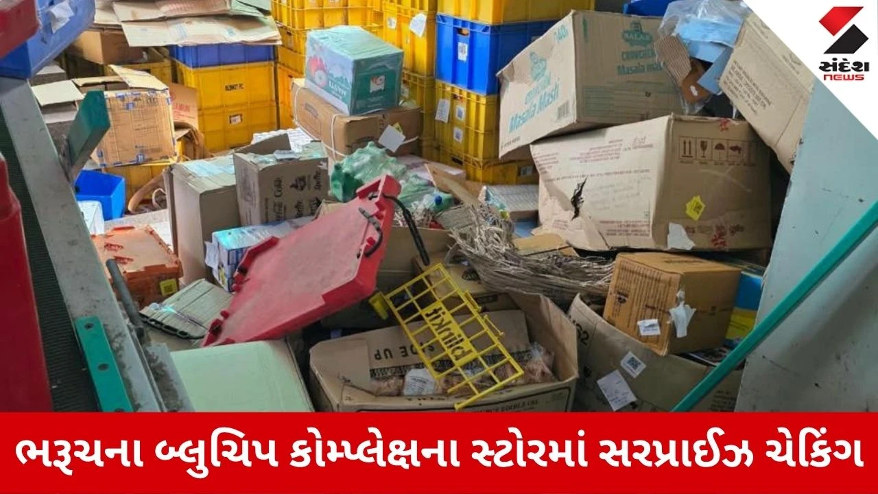 Bharuch News: ફૂડ વિભાગ લાલ ઘૂમ, બ્લુચિપ કોમ્પ્લેક્ષના બ્લિંકિટ સ્ટોરમાં અસ્વચ્છતા દેખાતાં નોટિસ ફટકારી સ્ટોર બંધ કરાવ્યો