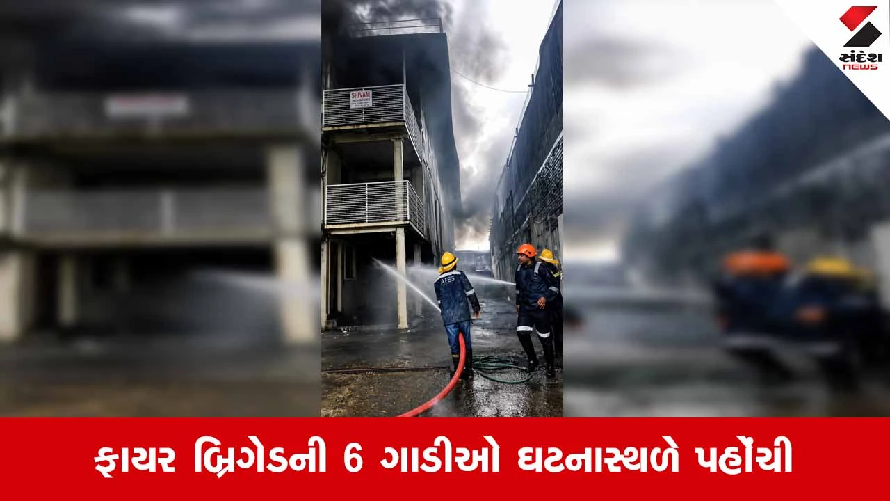 Ahmedabadમાં નરોડા GIDCના ફેઝ-3માં આવેલી ફેક્ટરીમાં અચાનક લાગી ભીષણ આગ